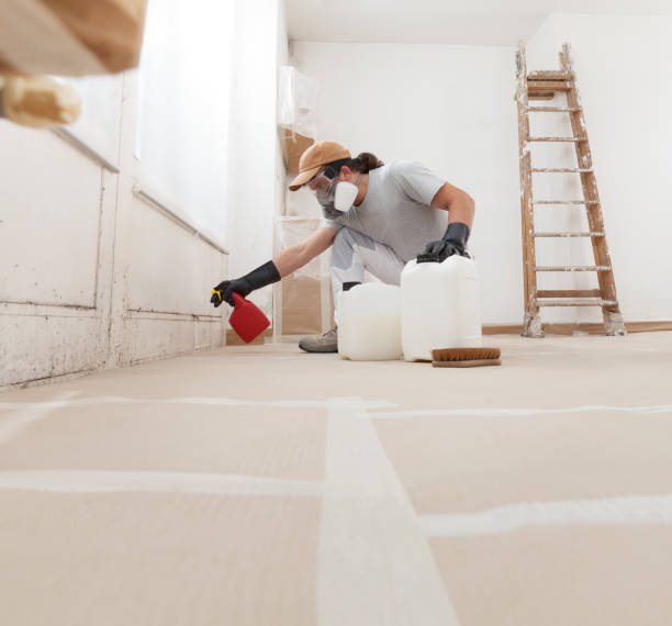 Best Airborne Mold Testing  in Dauphin Island, AL
