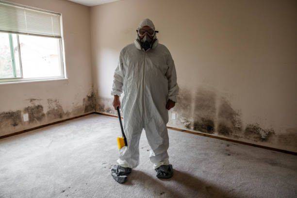 Best Air Quality Testing for Mold Spores  in Dauphin Island, AL