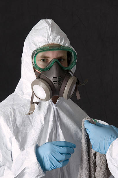 Best Environmental Consulting for Mold Prevention  in Dauphin Island, AL